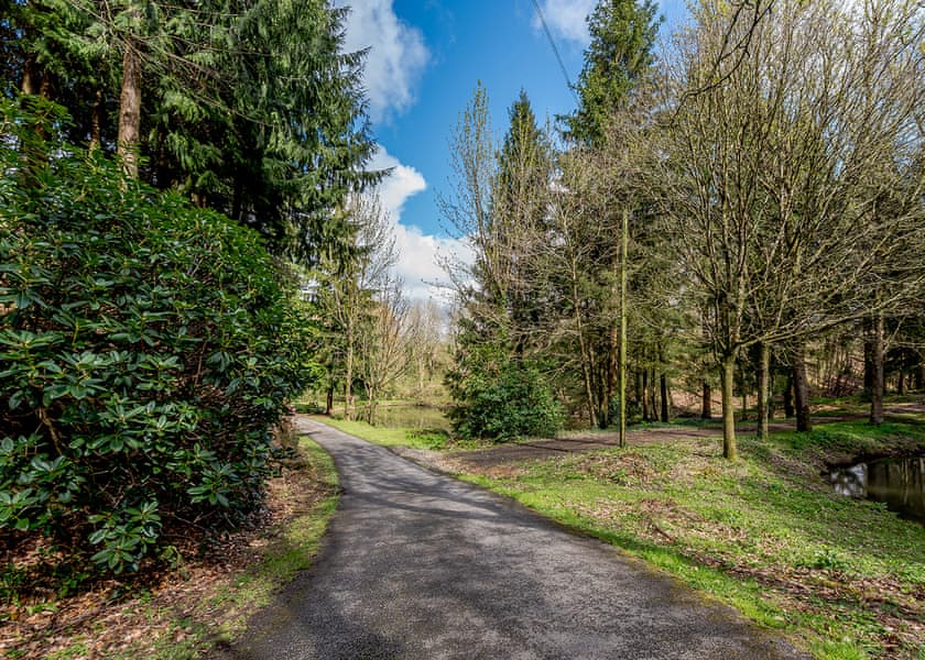 Bulworthy Forest Lodges, Webbery, Bideford