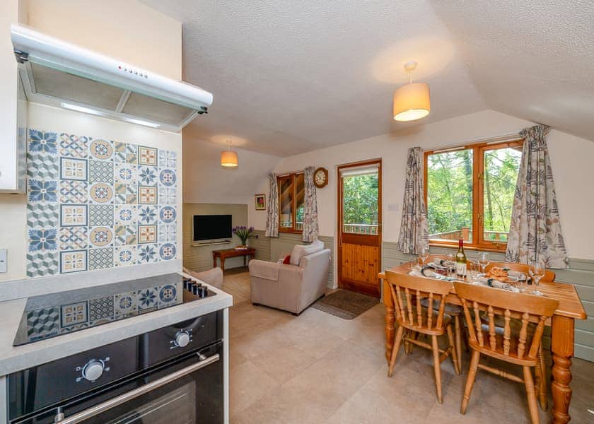 Acorn - Bulworthy Forest Lodges, Webbery, Bideford