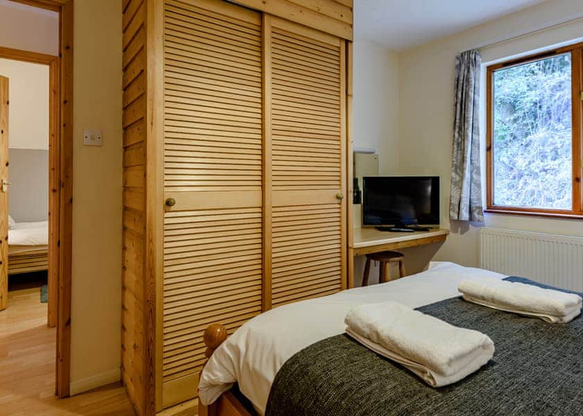 Chestnut - Bulworthy Forest Lodges, Webbery, Bideford