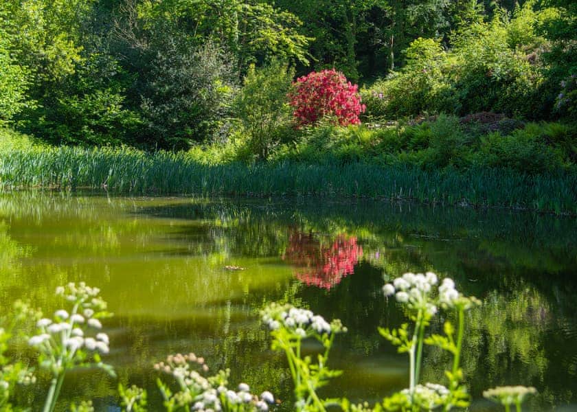 Hunter’s Lodge - Bulworthy Forest Lodges, Webbery, Bideford