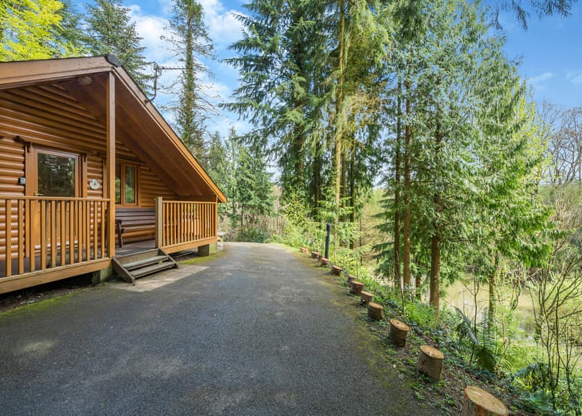 Sycamore - Bulworthy Forest Lodges, Webbery, Bideford