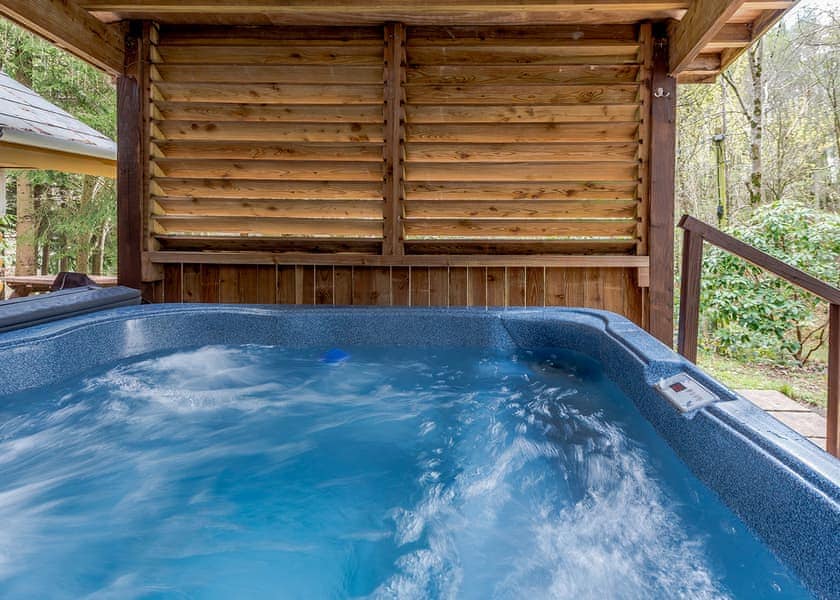 Larches - Bulworthy Forest Lodges, Webbery, Bideford