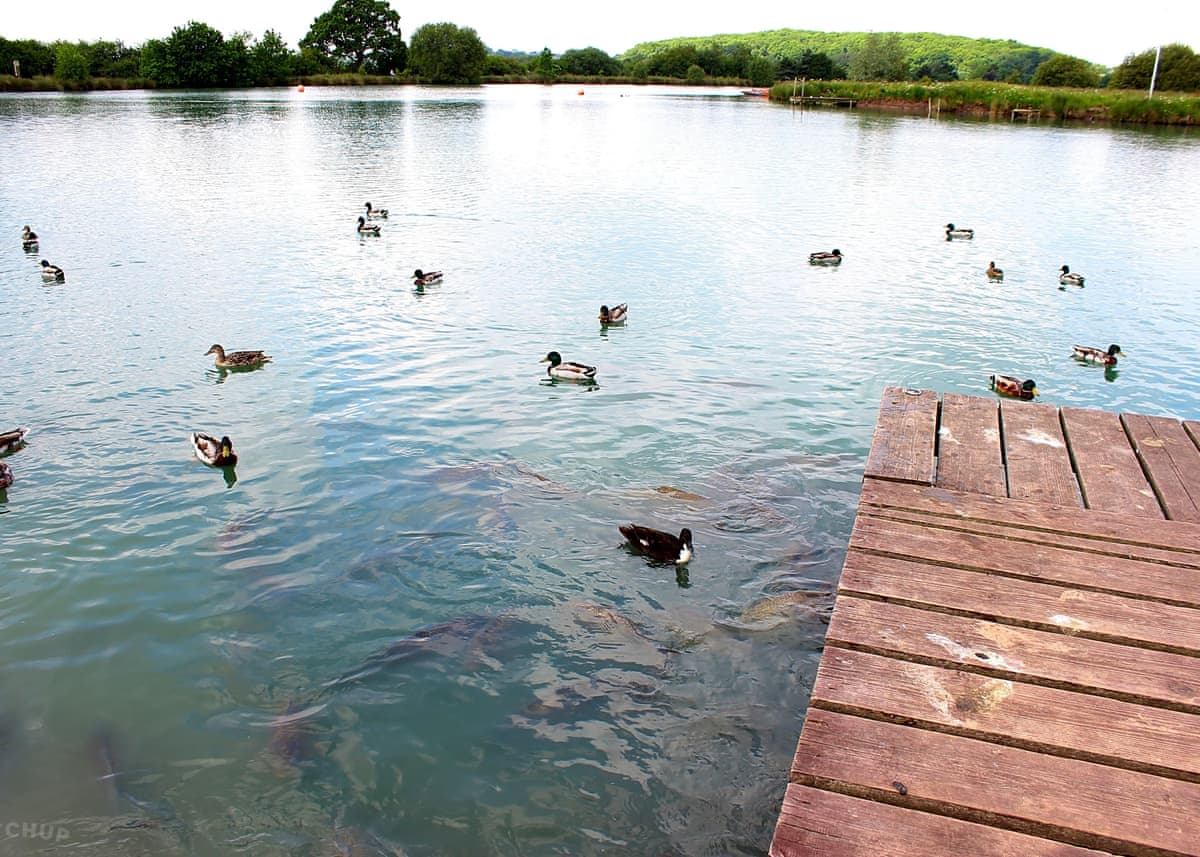 Bosworth Lakeside Lodges - Holiday lodge in Central England - Image 3