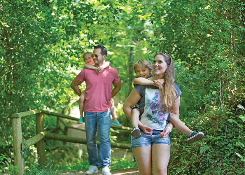 The park setting | Castle Brake Holiday Park, Woodbury