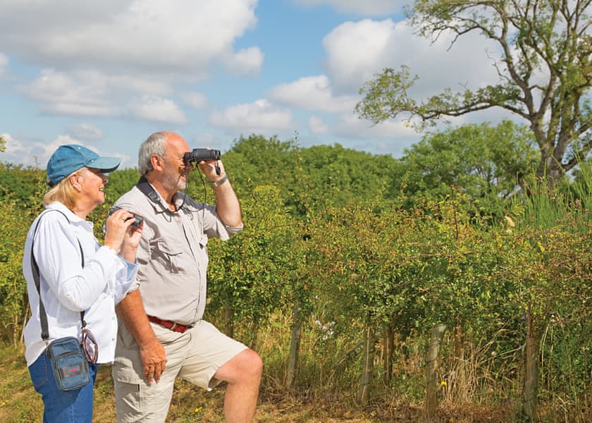 The park setting | Castle Brake Holiday Park, Woodbury