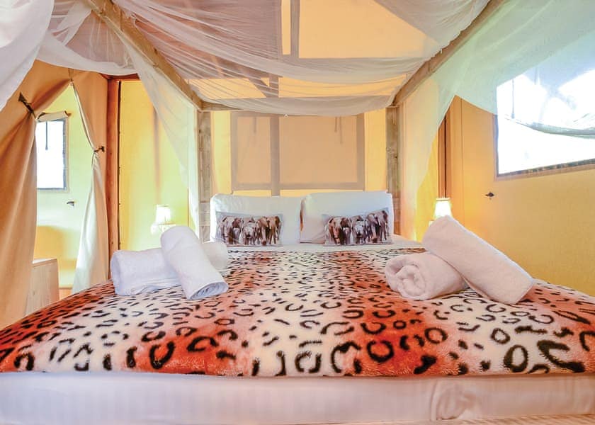 Foxglove Safari Tent - Celtic Escapes, Narberth