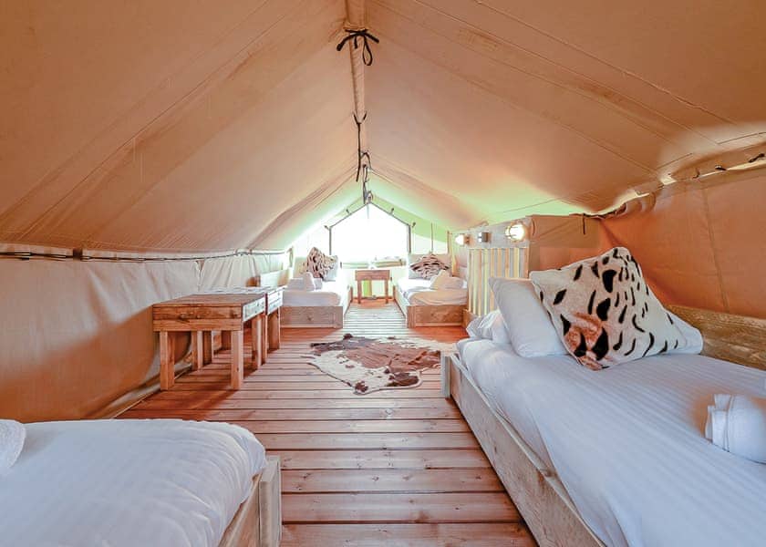 Foxglove Safari Tent - Celtic Escapes, Narberth