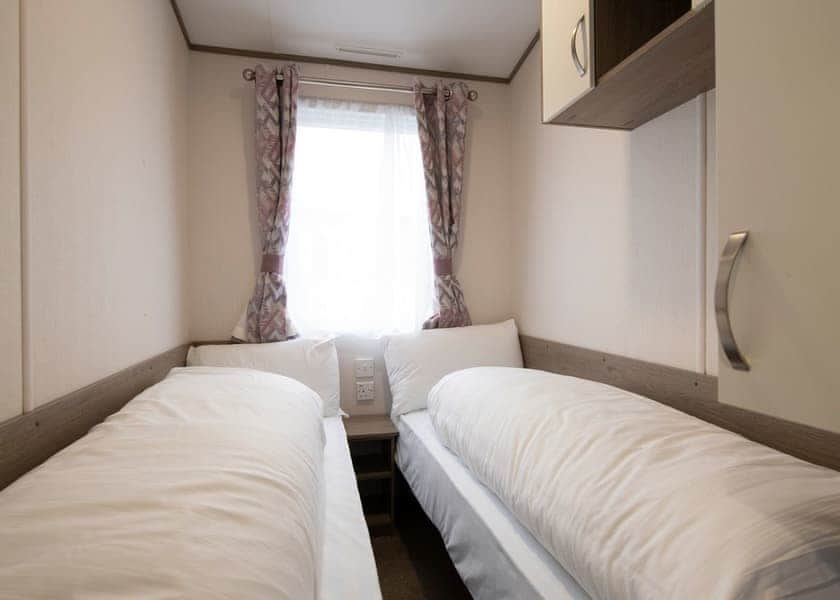 Typical Murre | Murre - Challaborough Bay, Nr Bigbury-on-Sea