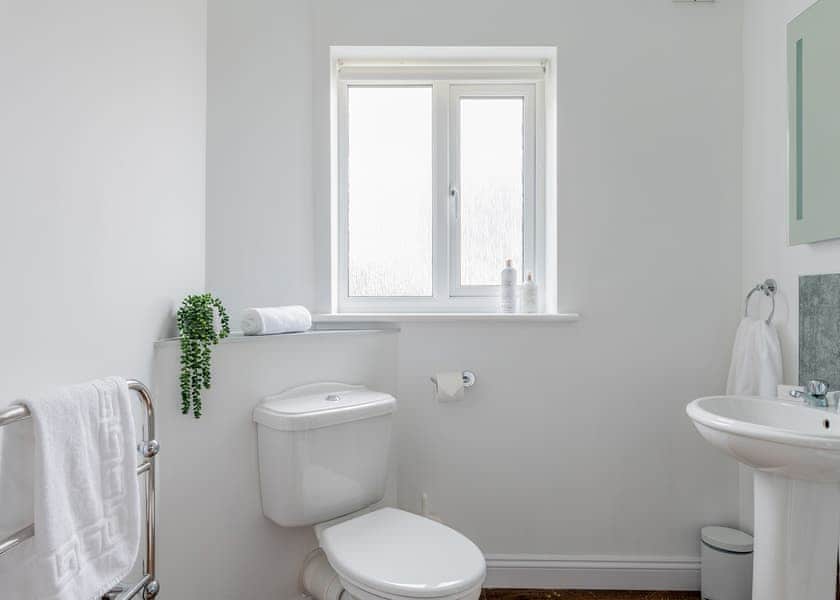 Valley Ground Floor Apartment Hot Tub - Clawford Lakes Resort and Spa, Clawton, Nr Holsworthy