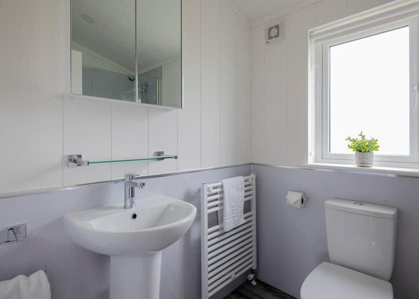 Orchard Deluxe Accessible Lodge - Clawford Lakes Resort and Spa, Clawton, Nr Holsworthy