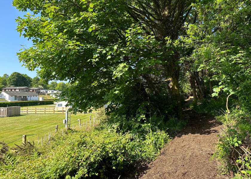 Calloose Holiday Park, Hayle