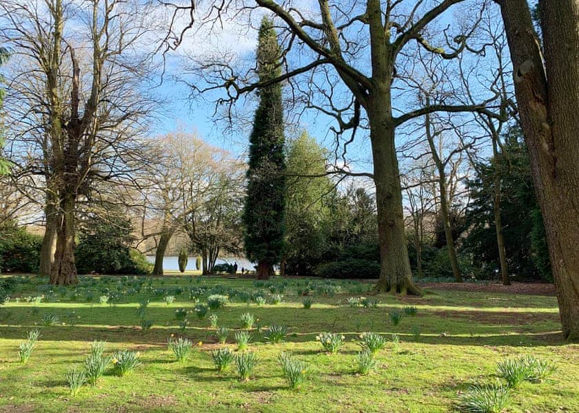 Attractive parkland | Clumber Park, Sherwood Forest, Worksop