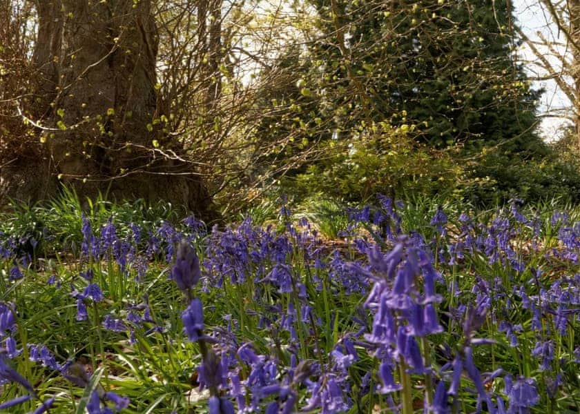 Clumber Park - credited National Trust image | Clumber Park, Sherwood Forest, Worksop