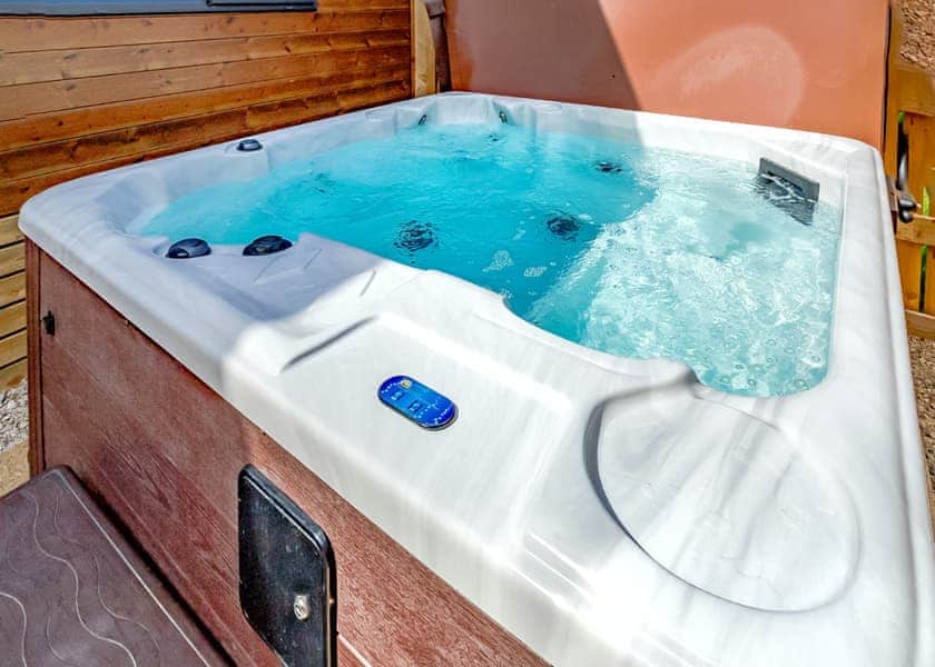 Cedar Spa (Pet) - Clumber Park, Sherwood Forest, Worksop