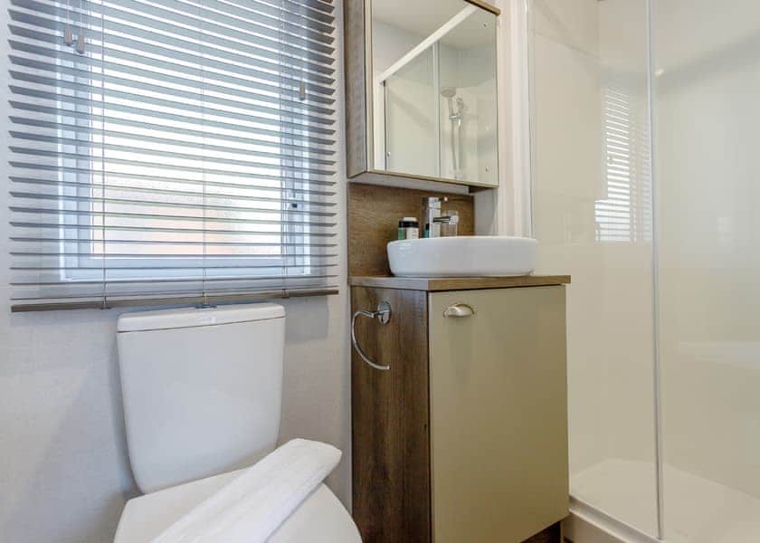 Cedar Spa (Pet) - Clumber Park, Sherwood Forest, Worksop