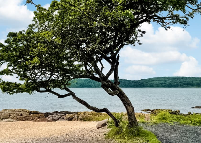 Coastal Kippford, Dalbeattie