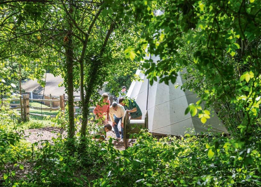 Combe Haven Holiday Park, Hastings 