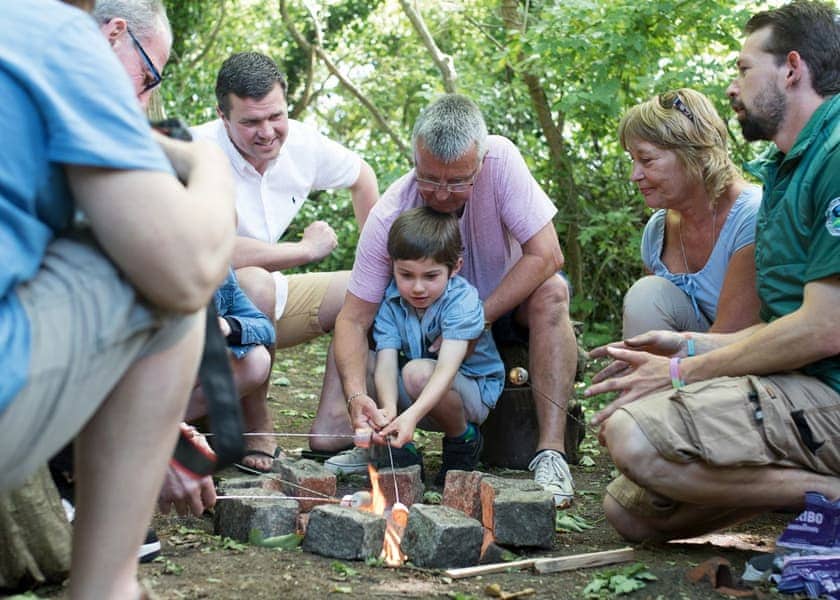 Combe Haven Holiday Park, Hastings 