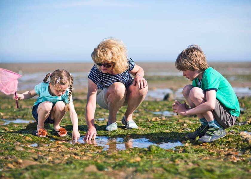 Mersea Island Holiday Park, Mersea Island, Colchester