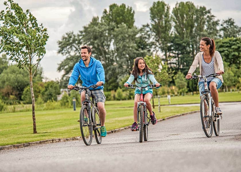 Bike hire<br />