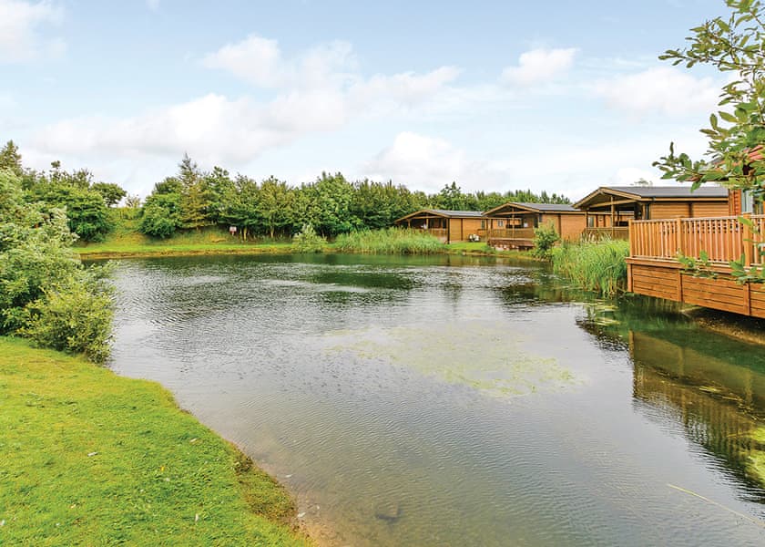 Typical Bulrush Watersedge (Pet) | Dacre Lakeside Park, Brandesburton, Driffield