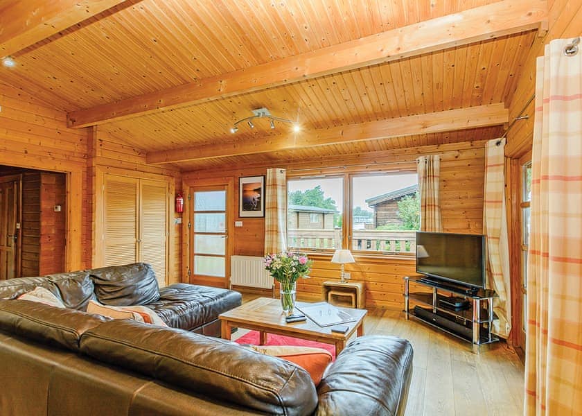 Typical Bulrush Lakeview (Pet) | Dacre Lakeside Park, Brandesburton, Driffield