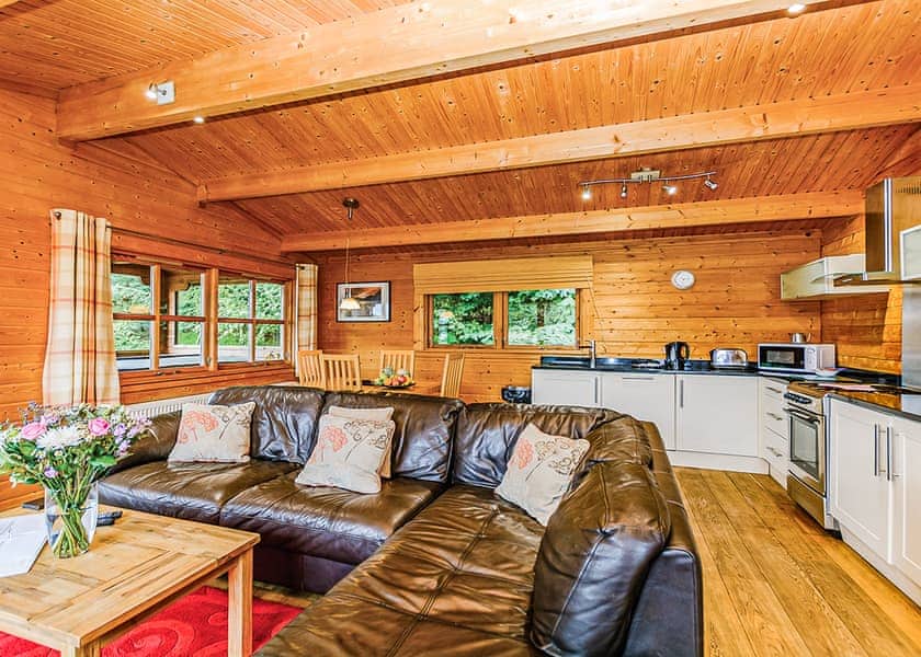 Typical Bulrush Lakeview (Pet) | Dacre Lakeside Park, Brandesburton, Driffield