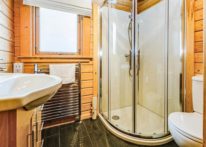 Typical Bulrush Lakeview (Pet) | Dacre Lakeside Park, Brandesburton, Driffield