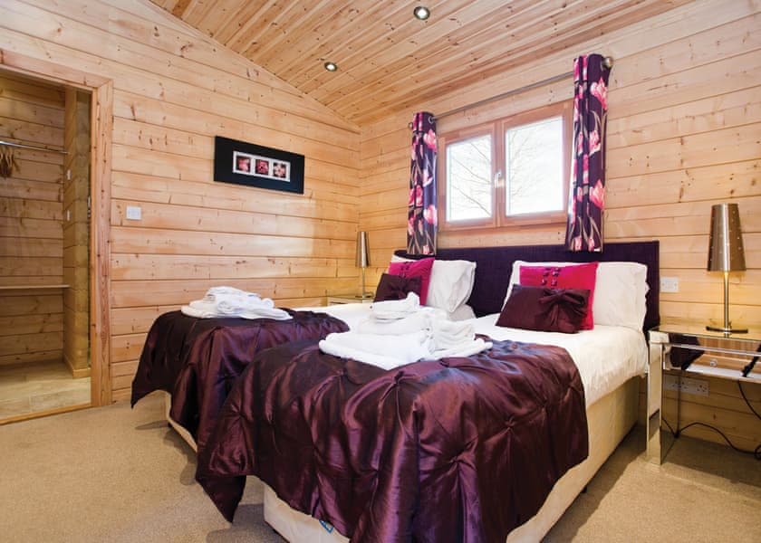 Typical Water Reed Watersedge