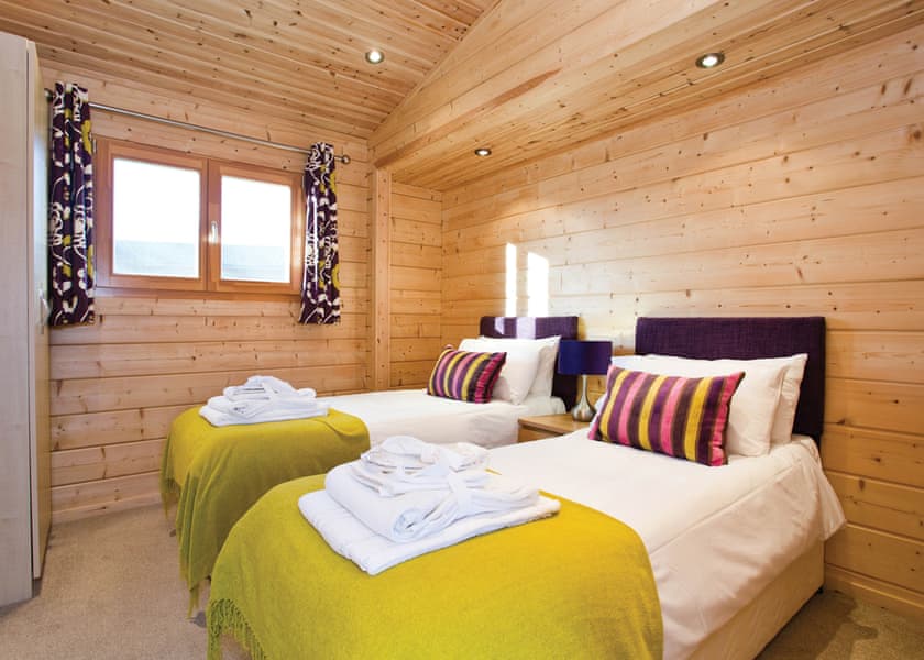 Typical Water Reed Watersedge