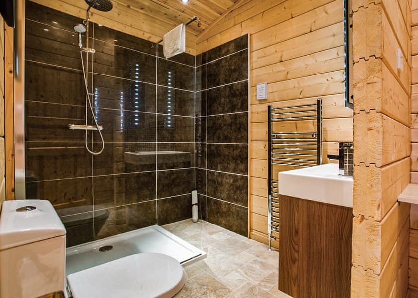 Typical Water Reed Watersedge