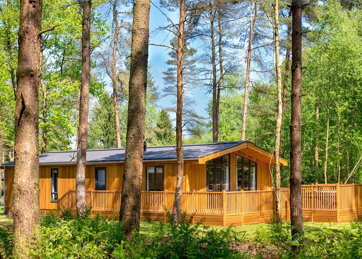 Darwin Forest - Holiday lodge in Central England - Image 3