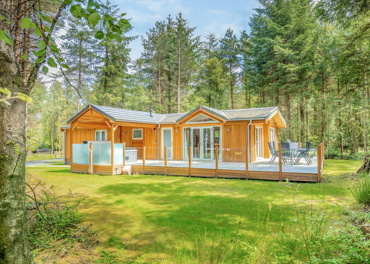 Darwin Forest - Holiday lodge in Central England - Image 4