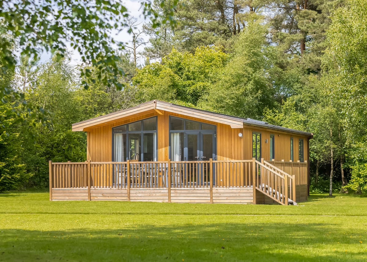 Darwin Forest - Holiday lodge in Central England - Image 5