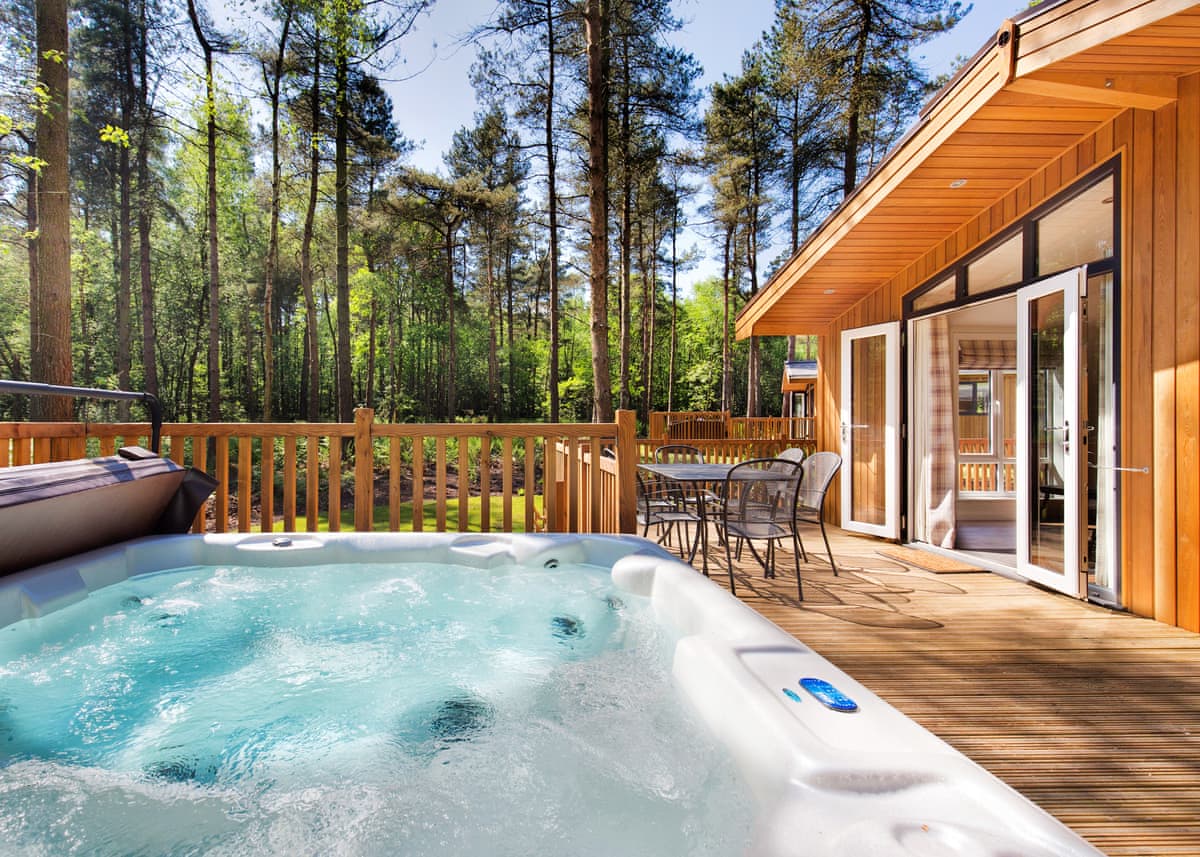 Darwin Forest - Holiday lodge in Central England - Image 1