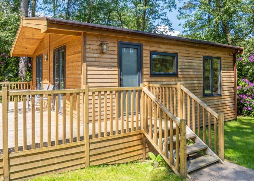 Chatsworth Elite Vogue 1 (Pet) - Darwin Forest, Matlock