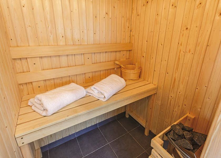 Chatsworth Elite Vogue 1 (Pet) - Darwin Forest, Matlock