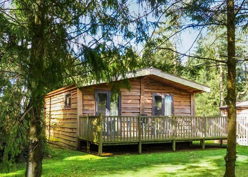 Chatsworth Elite Vogue (S) 1 - Darwin Forest, Matlock