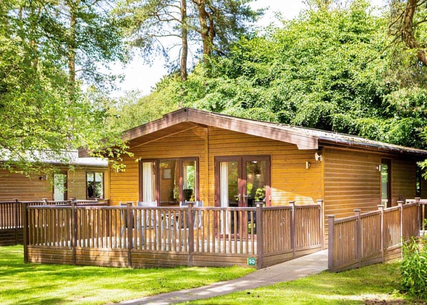 Haddon Classic Vogue 2 WF (Pet) - Darwin Forest, Matlock