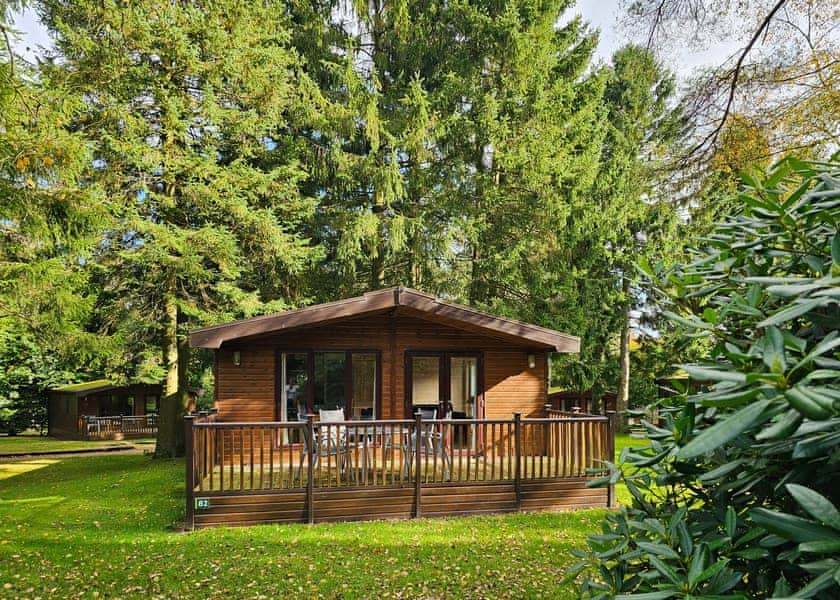 Haddon Classic Vogue (S) 2 (Pet) - Darwin Forest, Matlock