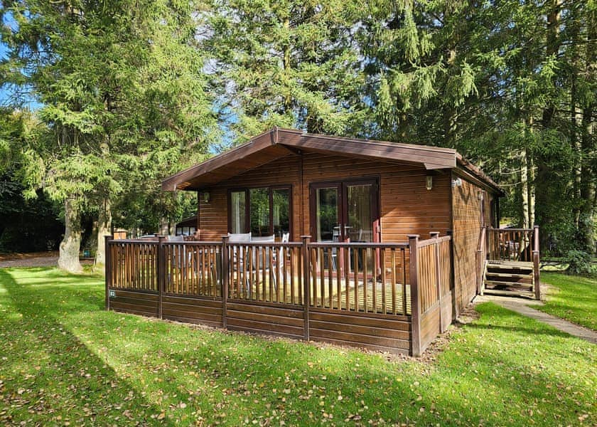 Haddon Classic Vogue (S) 2 (Pet) - Darwin Forest, Matlock
