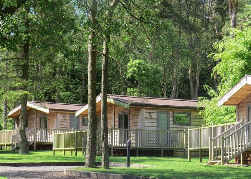 Chatsworth Elite Vogue 2 - Darwin Forest, Matlock