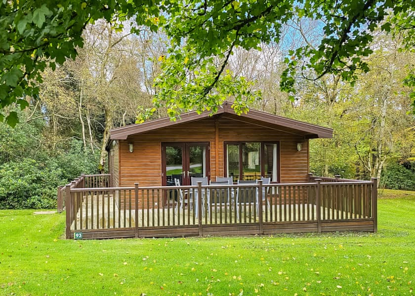 Haddon Classic Vogue (S) 3 (Pet) - Darwin Forest, Matlock
