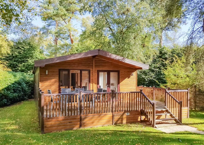 Haddon Classic Vogue 3 (Pet) - Darwin Forest, Matlock