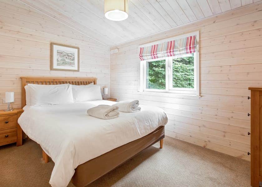 Haddon Classic Vogue 3 (Pet) - Darwin Forest, Matlock