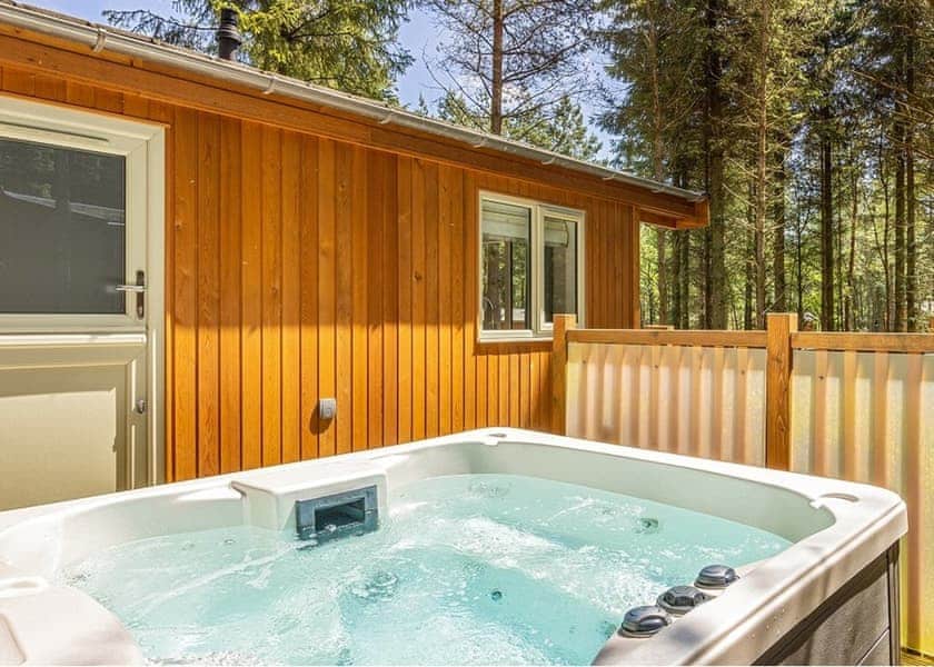Spinney 1 Spa (Pet) - Darwin Forest, Matlock