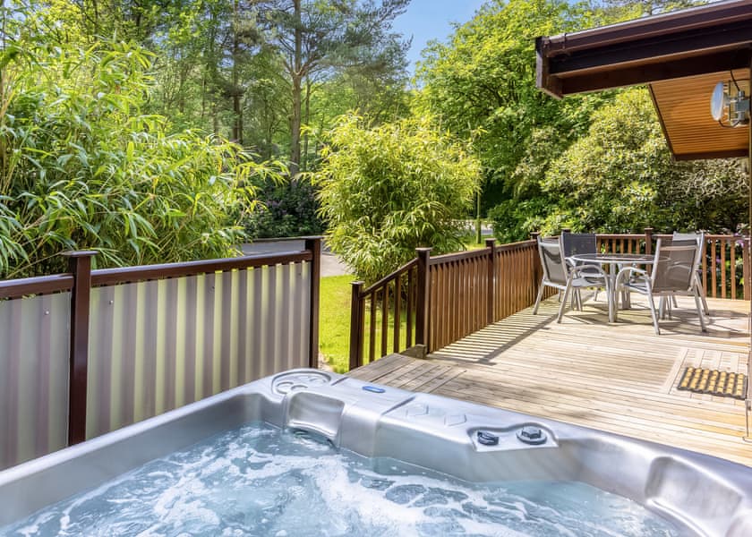Haddon Classic Vogue (S) 2 Spa (Pet) - Darwin Forest, Matlock