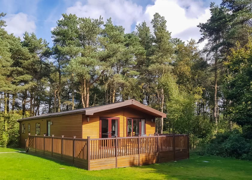 Haddon Classic Vogue 4 - Darwin Forest, Matlock