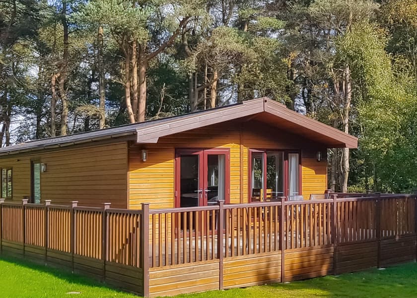 Haddon Classic Vogue 4 (Pet) - Darwin Forest, Matlock