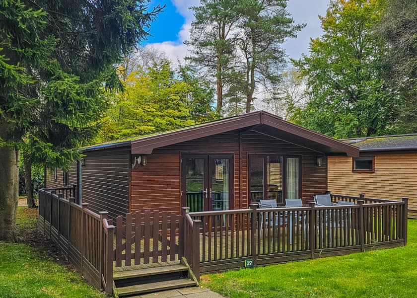 Haddon Classic Vogue 4 (Pet) - Darwin Forest, Matlock